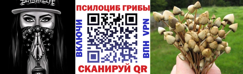 Псилоцибиновые грибы Magic Shrooms  Купить закладки  Егорьевск 