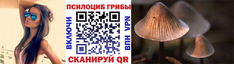 Галлюциногенные грибы Magic Shrooms Егорьевск